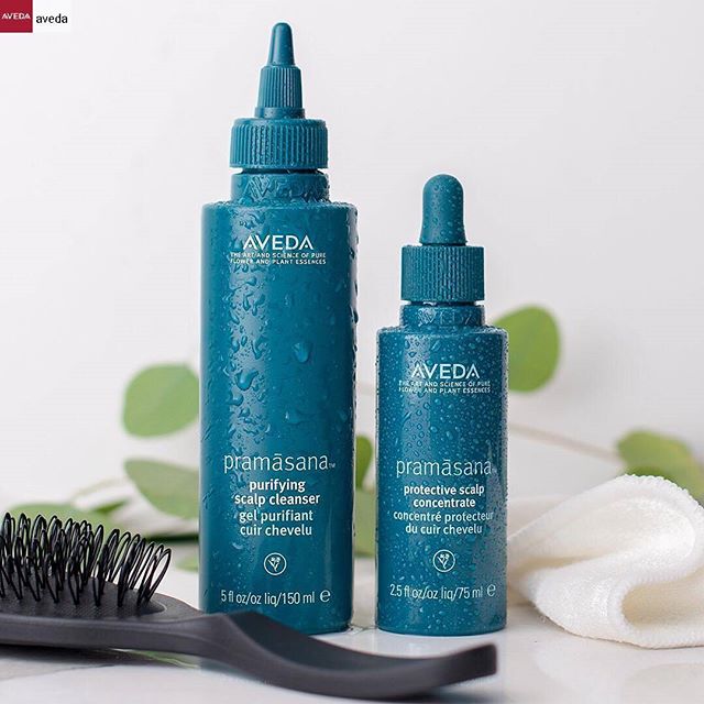 Give your scalp the care it deserves in 2018 with our complete scalp care lineup, including #Pramasana, Scalp Benefits, and Scalp Remedy. There's something for everyone and every scalp. ___________________________________#Repost from @aveda with @regram.app ... #instahair #instabeauty #atthesalon #salonlife #hair #hairspiration #hairsalon #haircolor #hairstyles #hairstyling #haircut #carlsbad #sandiego #sandiegohair #carlsbadhair #aveda #avedacolor #avedaproducts #smellslikeaveda #productjunkie #newyear #happynewyear #2018