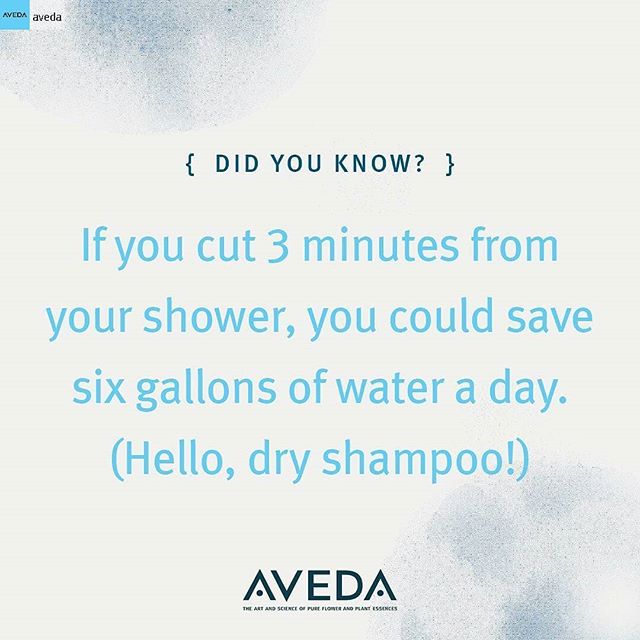 Small changes can have big impact. If you shower daily, you could save around 2,190 gallons (8,290 litres) of water a year.* Use #DryShampure to refresh your hair between washes to save water — and maybe get a little more beauty sleep too! (*Average shower in the U.S. uses 2 gallons per minute. Source: U.S. Geological Survey.)______________________#instahair #instabeauty #atthesalon #salonlife #hair #hairspiration #hairsalon #haircolor #hairstyles #hairstyling #haircut #carlsbad #sandiego #sandiegohair #carlsbadhair #aveda #avedacolor #avedaproducts #avedaartist #avedaglobalartist #avedacleanwater #avedamission #plazapaseoreal