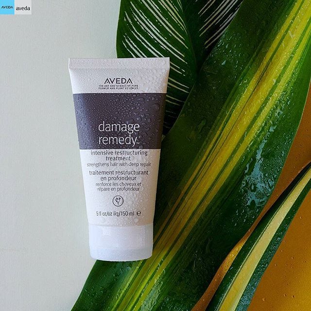 Does your hair need extra TLC? Make a weekly date with #DamageRemedy Intensive Restructuring Treatment masque. It's packed with quinoa protein to strengthen damaged hair with deep repair and leaves it feeling healthy, smooth and strong. What more could you ask for?_______________________________#instahair #instabeauty #atthesalon #salonlife #hair #hairspiration #hairsalon #haircolor #hairstyles #hairstyling #haircut #carlsbad #sandiego #sandiegohair #carlsbadhair #aveda #avedacolor #avedaproducts #avedaartist #smellslikeaveda #highlights #avedademiplus #shinetreatment #avedaglobalartist #hairshine #demiplus #avedashine #blonde #Repost from @aveda with @regram.app
