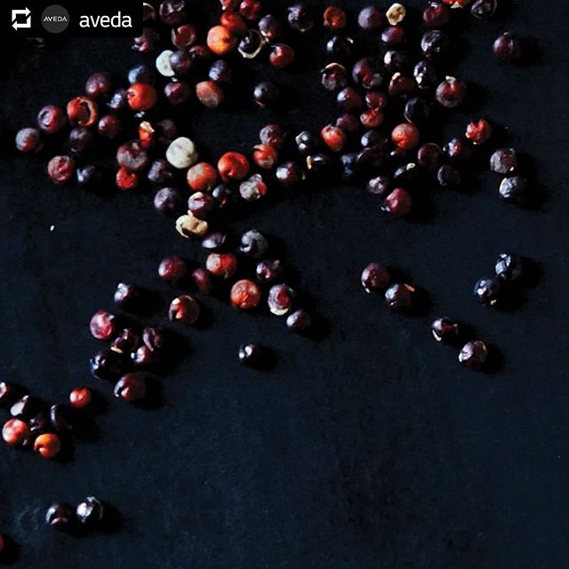 GUESS THE INGREDIENT! This complete protein was revered as the mother grain by the Incas. Find it — and more — in #DamageRemedy Daily Hair Repair. (Hint: You may eat it for dinner.) #knowwhatweremadeof________________________#Repost @aveda#instahair #instabeauty #atthesalon #salonlife #hair #hairspiration #hairsalon #haircolor #hairstyles #hairstyling #haircut #carlsbad #sandiego #sandiegohair #carlsbadhair #aveda #avedacolor #avedaproducts #avedaartist #smellslikeaveda #crueltyfree #botanicals