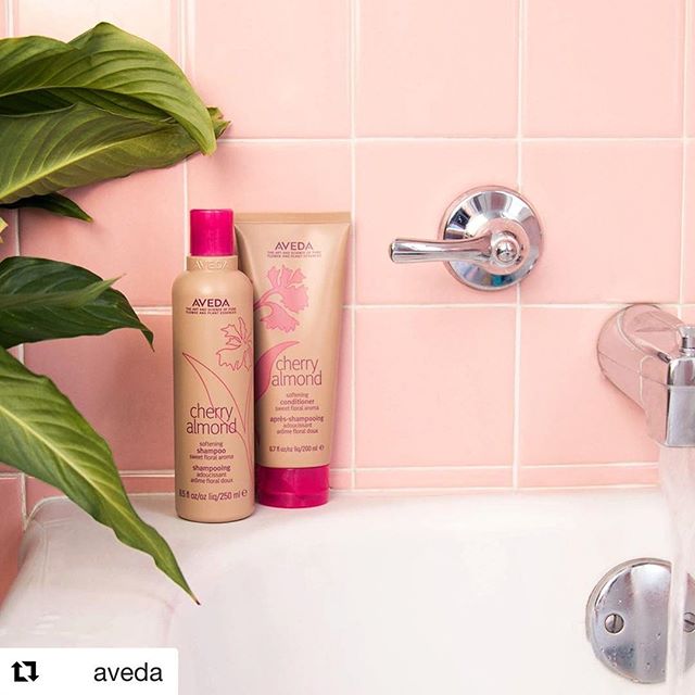 Your shower + new #CherryAlmond shampoo and conditioner = a match made in soft, shiny hair heaven! What more could you ask for? #smellslikeaveda___________________________#instahair #instabeauty #atthesalon #salonlife #hair #hairspiration #hairsalon #haircolor #hairstyles #hairstyling #haircut #carlsbad #sandiego #sandiegohair #carlsbadhair #aveda #avedacolor #avedaproducts #avedaartist #smellslikeaveda #crueltyfree #botanicals #knowwhatyouremadeof #plazapaseoreal #cherryalmond #repost @aveda