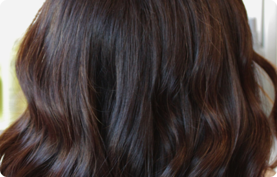 Color Maintenance hair